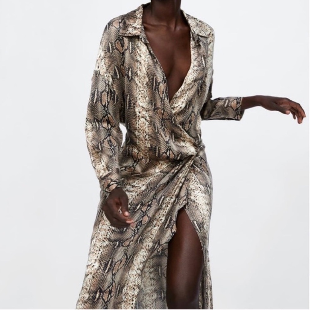 Zara Snake Print Midi Dress